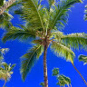 Meet your Posher, Gianluca